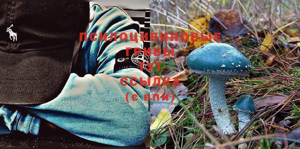 mix Козловка