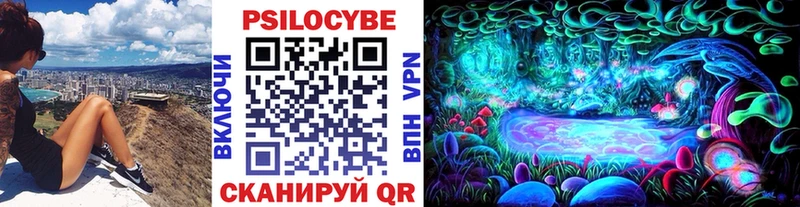 Псилоцибиновые грибы Psilocybe  Купино 